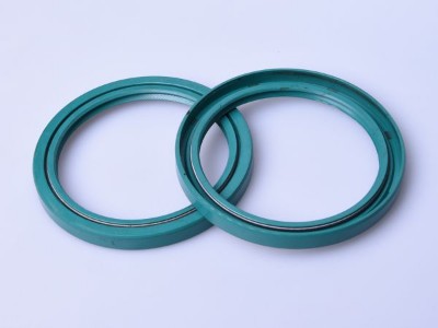 Series of Oil Seal